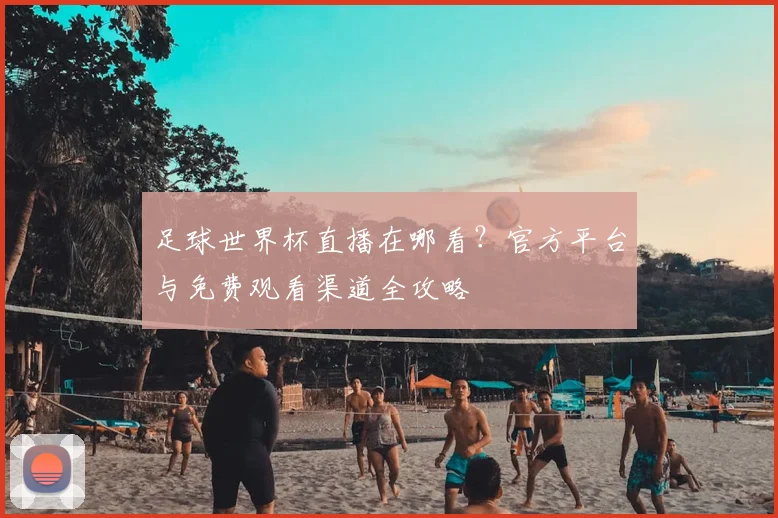 足球世界杯直播在哪看?官方平台与免费观看渠道全攻略