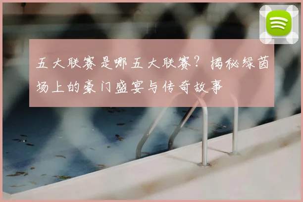 五大联赛是哪五大联赛?揭秘绿茵场上的豪门盛宴与传奇故事